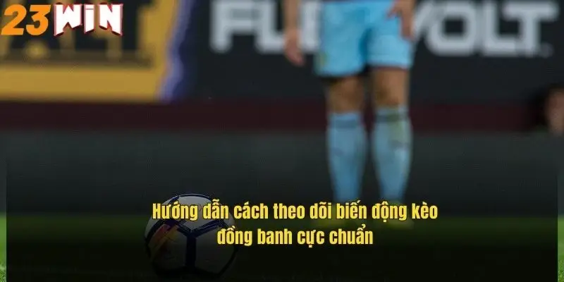 huong-dan-cach-theo-doi-bien-dong-keo-dong-banh-cuc-chuan
